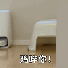 鸡哔你！Kill You — Reaction meme
