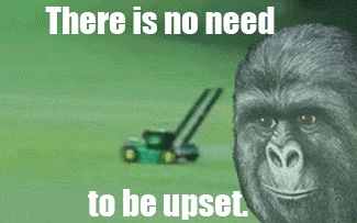 No need to be upset flying lawnmower — Reaction meme
