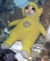 Cat crying teletubbie costume — Reaction meme