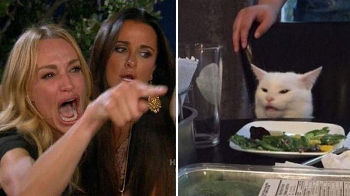Angry lady cat meme template — Templates meme