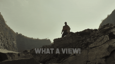 What A View! — Reaction meme