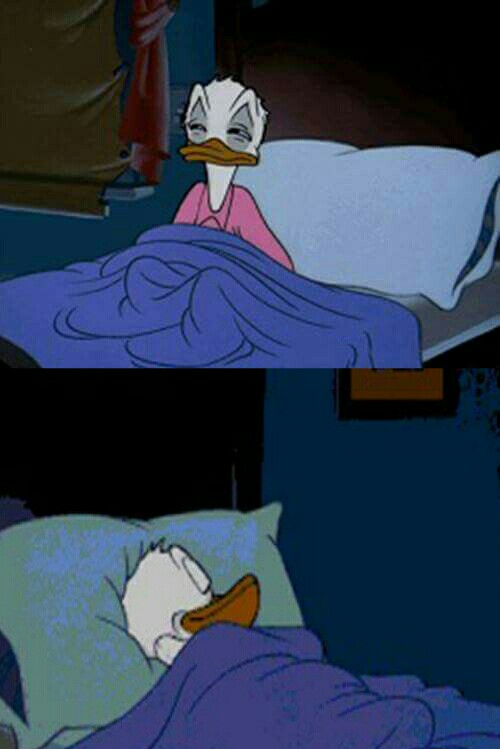 Sleepy donald duck in bed meme template — Templates meme