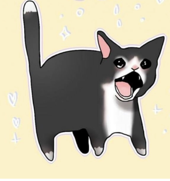 Crying cat face scared — Reaction meme