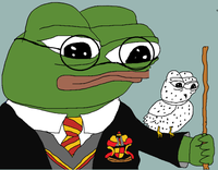 Pepe harry potter with owl — Pepe meme