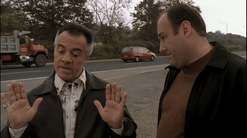 Paulie Walnuts "Whoa, Take It Easy" Hands — Templates meme