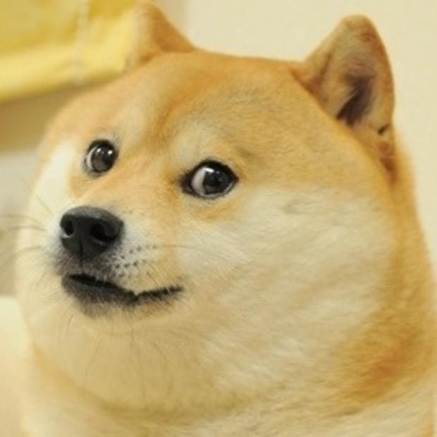 Doge meme template — Templates meme