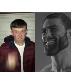 Average Fan vs Average Enjoyer meme template — Templates meme