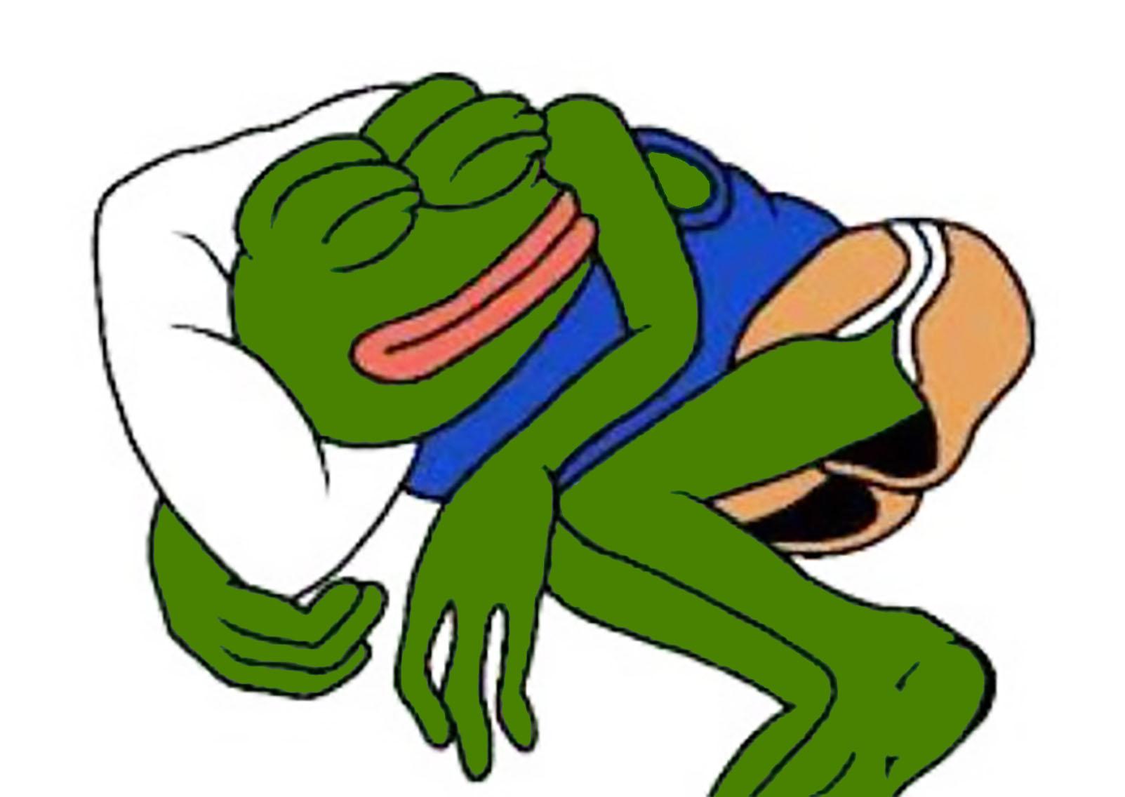 Pepe sleeping on pillow — Pepe meme