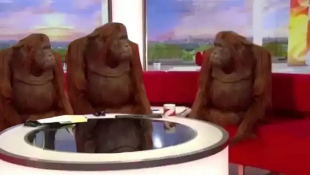 Where Banana (blank) meme template — Templates meme