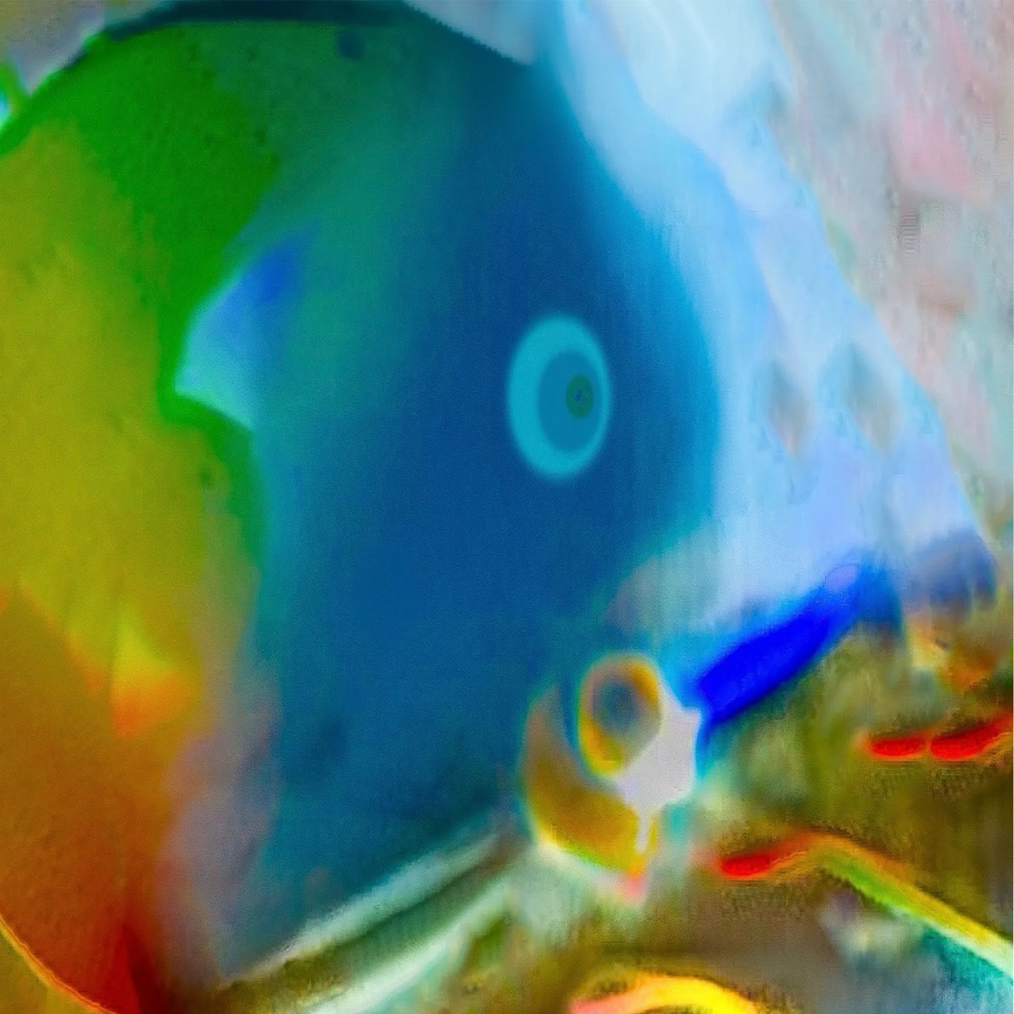 FishBow #2: Shimmer Beneath Refracted Waters — Trippy meme