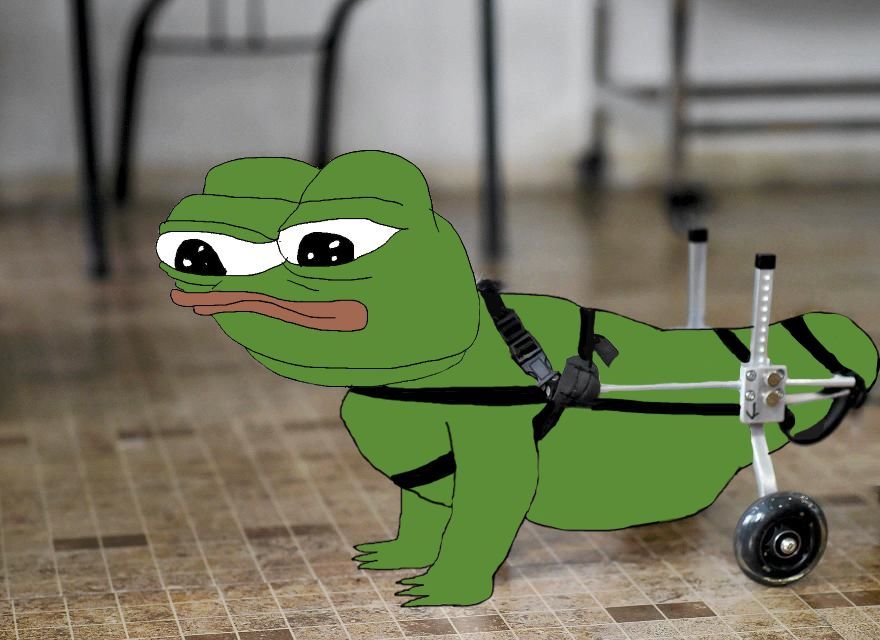 Pepe dog wheelchair — Pepe meme
