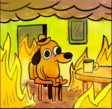 Dog in housefire this is fine — Reaction meme