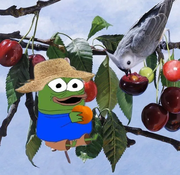 Nature — Apu meme