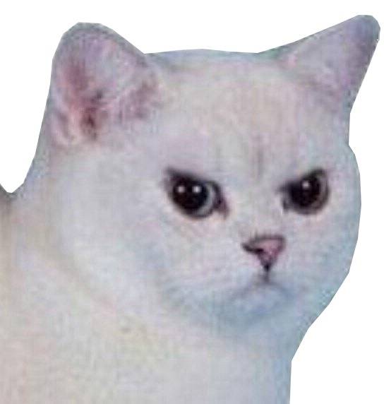 Angry cat — Reaction meme