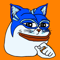 Toshi cat smug — $TOSHI meme