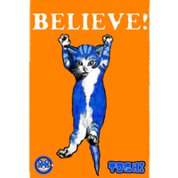 Toshi cat believe demotivational poster — $TOSHI meme