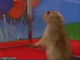 Dramatic gopher — Reaction meme