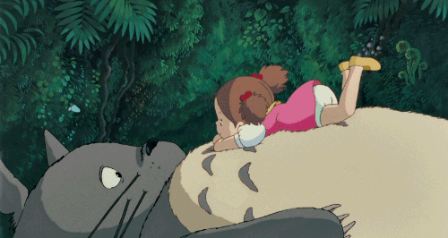 Mei Playing with Totoro — Memes meme