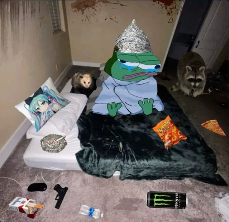 Schizo — Apu meme