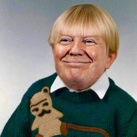 Trump troll — Reaction meme