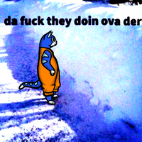 Toshi cat confused snowbank — $TOSHI meme