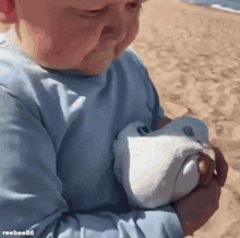 Hasbulla Dove — Memes meme