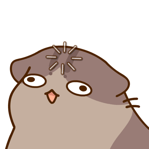Confused Cat — Reaction meme