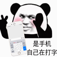 手机自己在打字 Phone is Typing by itself — Memes meme