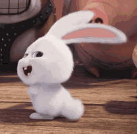 Bunny Shaking Butt — Reaction meme