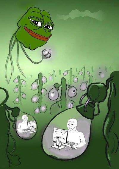 Pepe matrix wojak farm — Pepe meme
