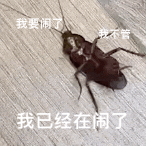 我要闹了 我不管 I'm Throwing a Fit — Reaction meme