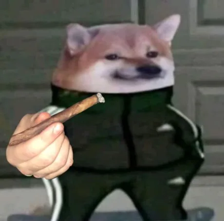 Tracksuit dog — Reaction meme