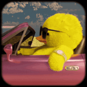 Duck with Swag — Memes meme