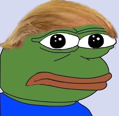 Pepe donald trump hair — Pepe meme