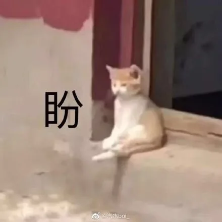 猫盼 — Reaction meme