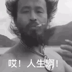 哎！人生啊！ — Reaction meme