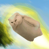 Cat Flying — Reaction meme