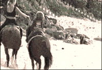 Horse Kicking Power — Memes meme