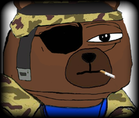 Bobo camoflage — Bobo meme