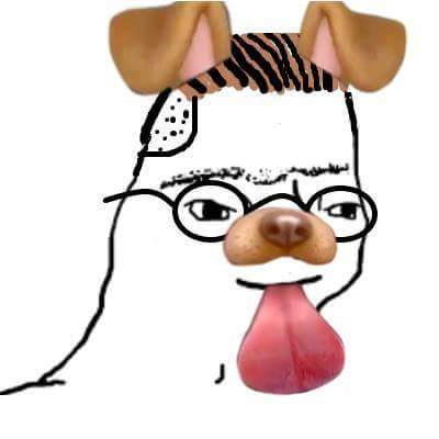Zoomer instagram dog filter — Zoomer meme