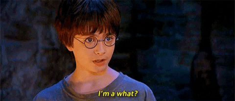 Harry Potter I'm A What? — Reaction meme