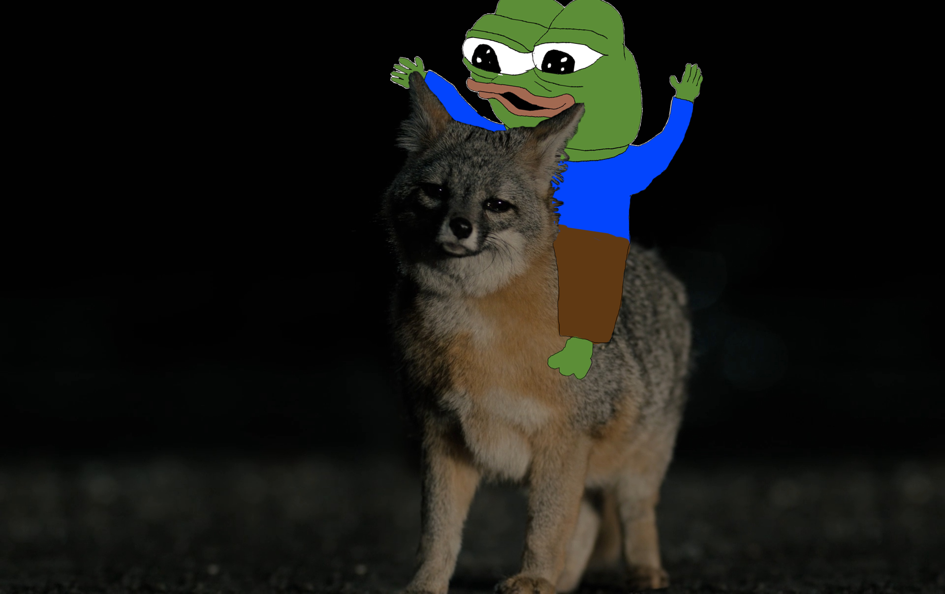 Pepe riding coyote — Pepe meme