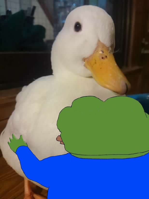Pepe hugging real duck — Pepe meme