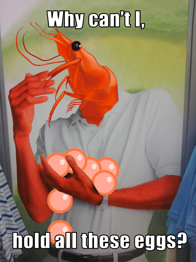 Shrimp farming — Reaction meme