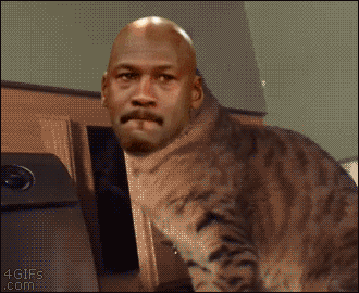 Michael jordan cats — Reaction meme