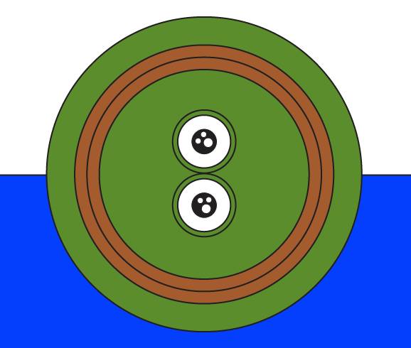 Pepe circle face — Pepe meme