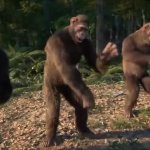 Dancing monkeys meme template — Templates meme