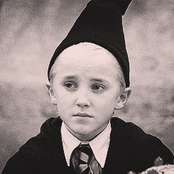 Draco Malfoy Lost — Reaction meme