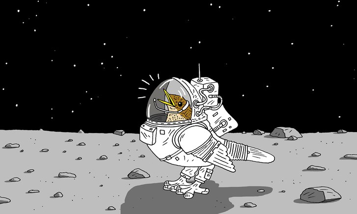 Bird in spacesuit on moon — Reaction meme