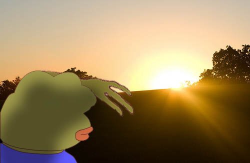 Pepe watches sunset — Pepe meme